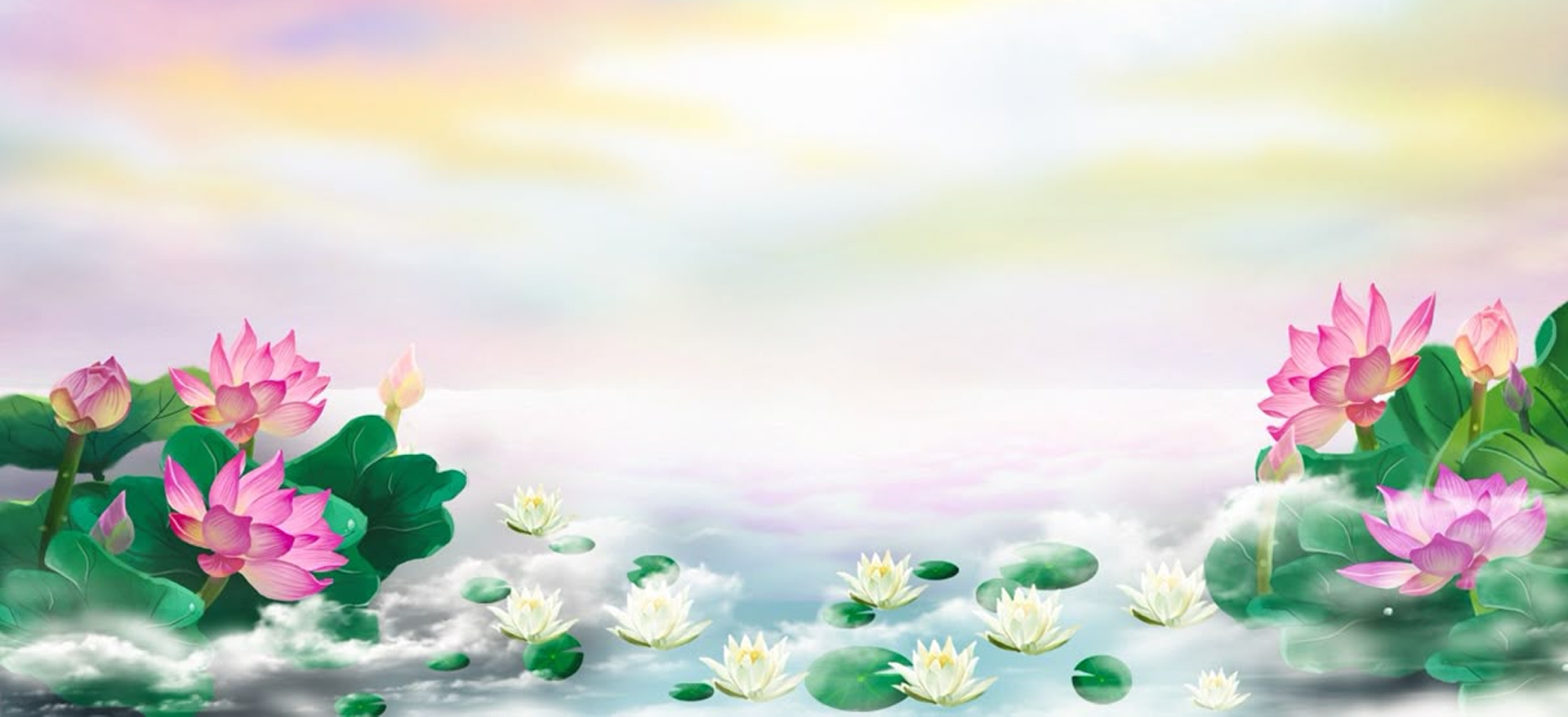 Banner 2